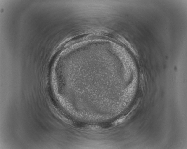 X0000087640203200705241248