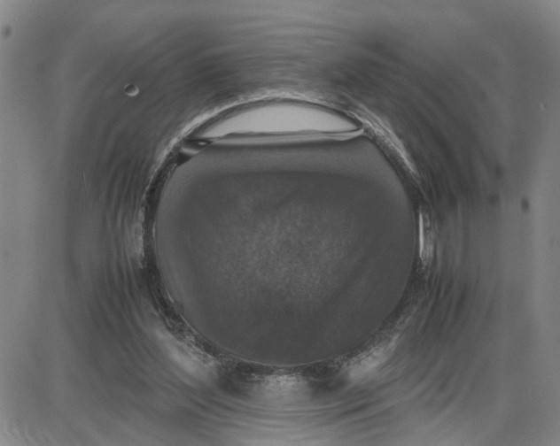 X0000087640204200705241248