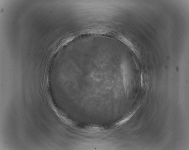 X0000087640205200705241248