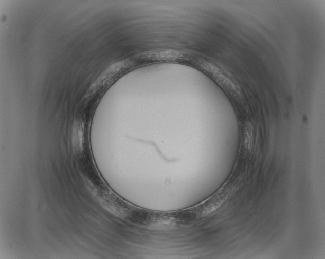 X0000087640206200705241248