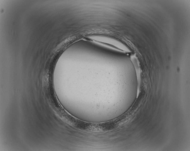 X0000087640207200705241248