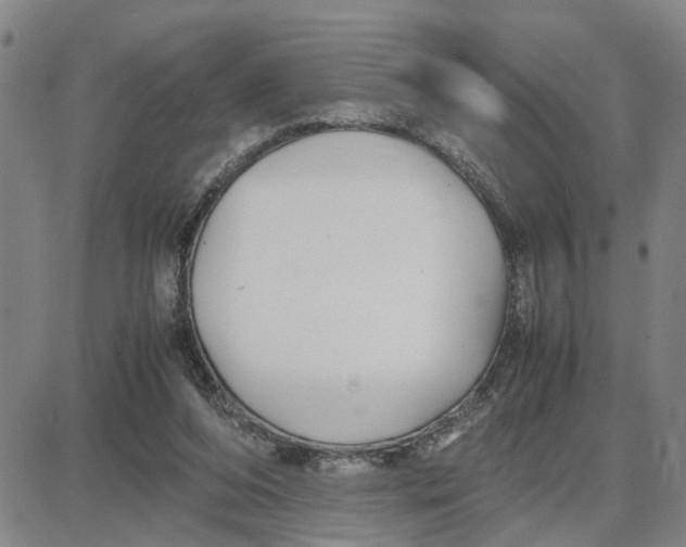 X0000087640208200705241248