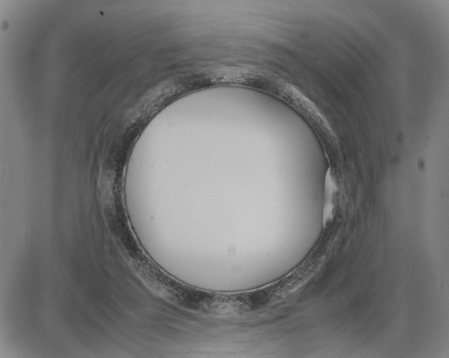 X0000087640209200705241248