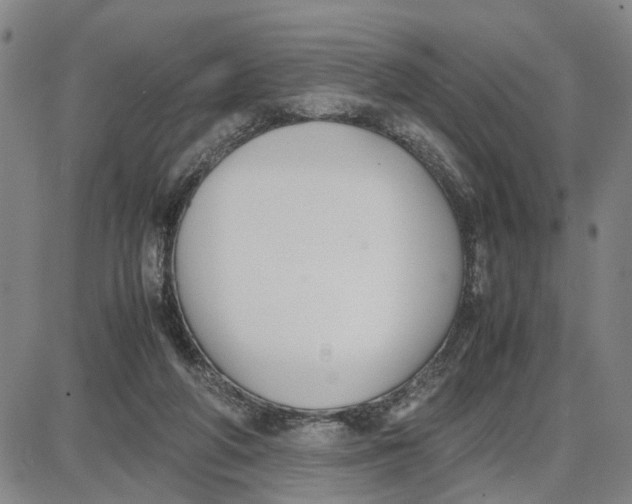 X0000087640210200705241248