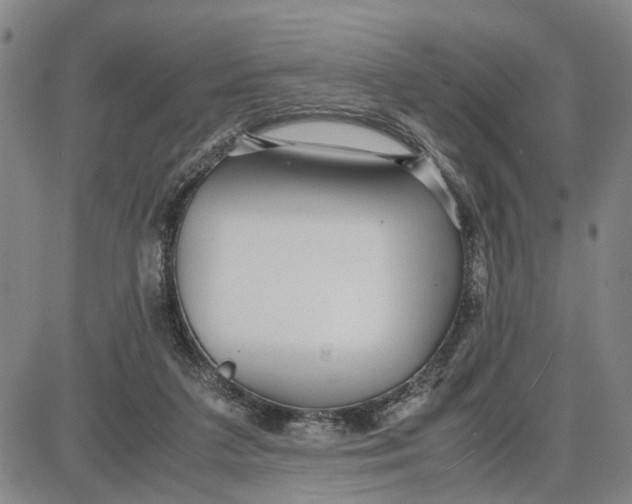 X0000087640211200705241248