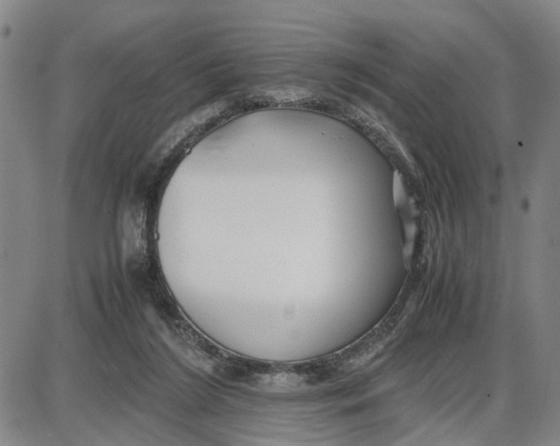 X0000087640212200705241248