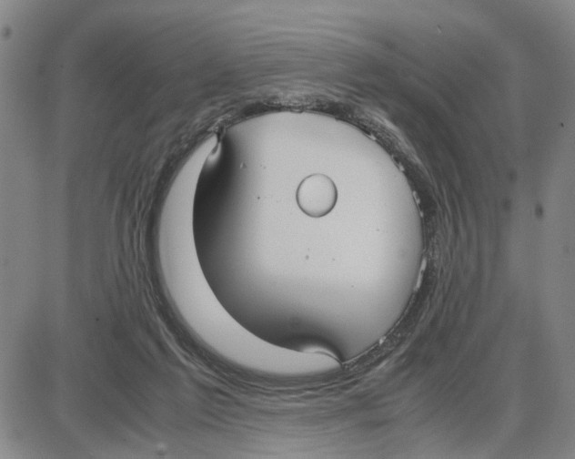 X0000087640213200705241248