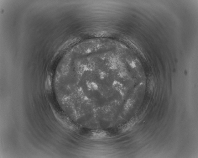 X0000087640214200705241248