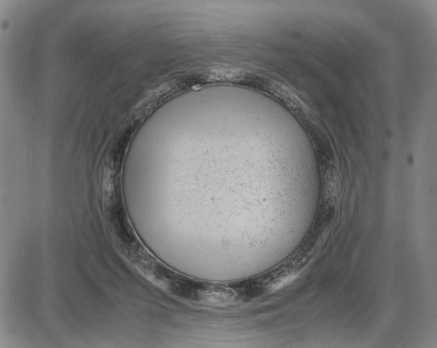 X0000087640215200705241248