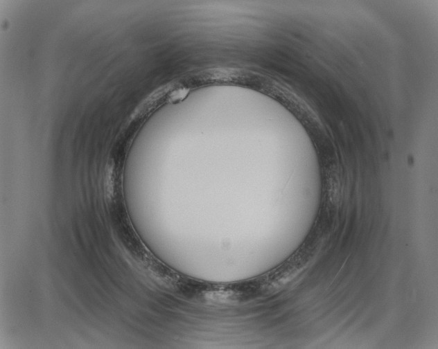 X0000087640216200705241248