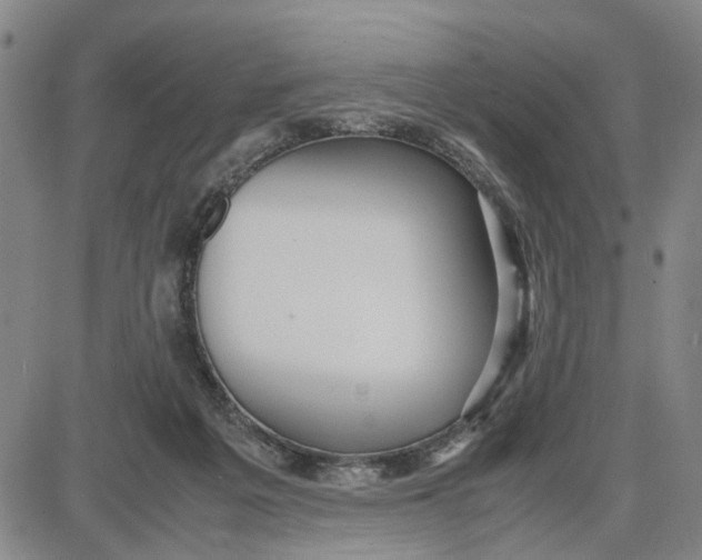 X0000087640217200705241248