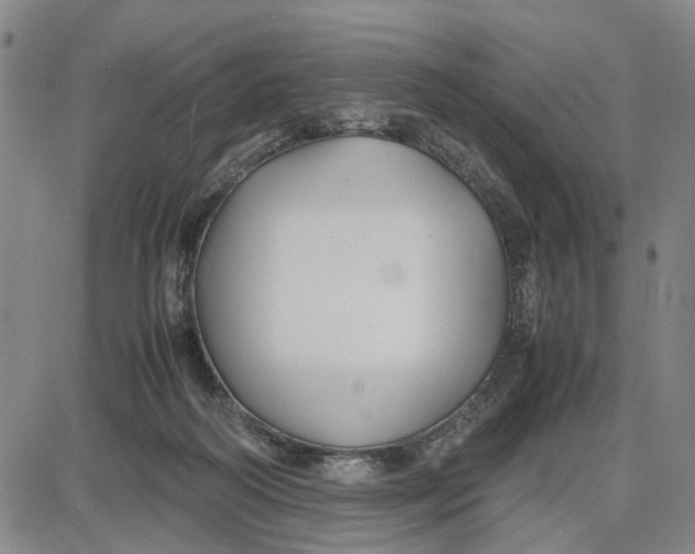 X0000087640218200705241248