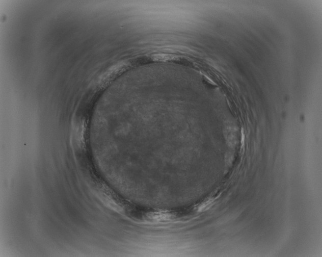 X0000087640219200705241248