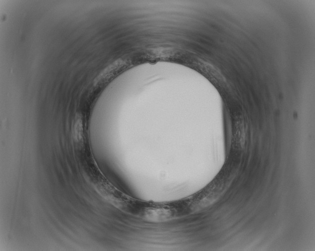 X0000087640220200705241248