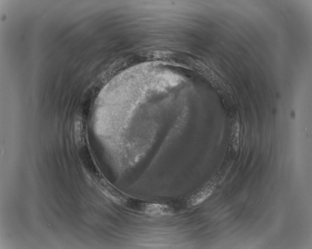 X0000087640222200705241248