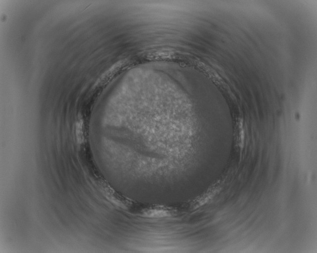 X0000087640224200705241248