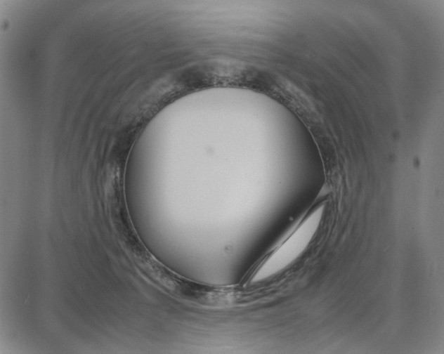 X0000087640225200705241248