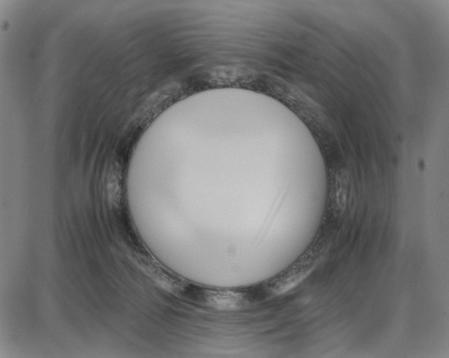 X0000087640226200705241248