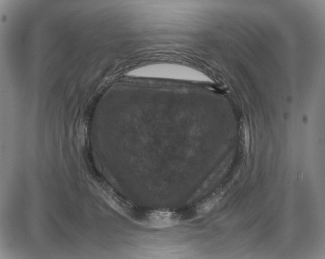 X0000087640227200705241248