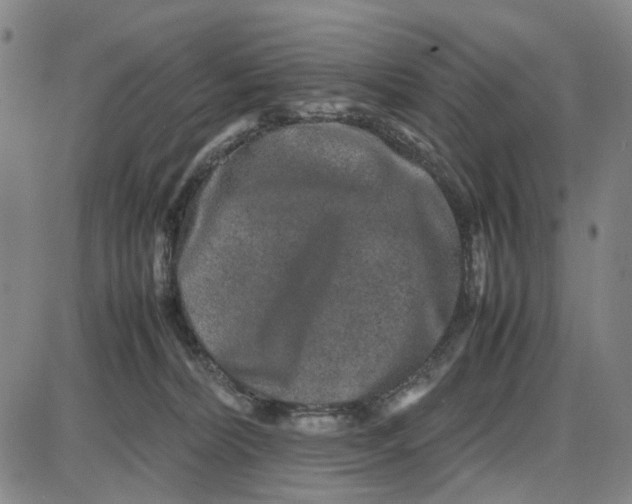 X0000087640228200705241248