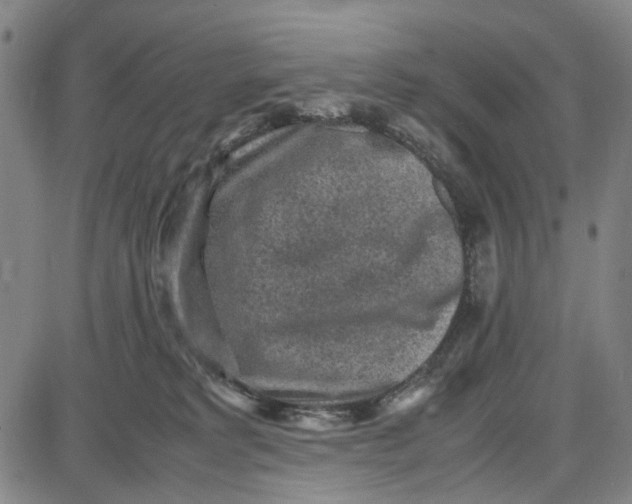 X0000087640229200705241247