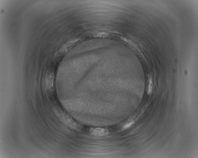 X0000087640230200705241247