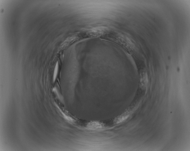 X0000087640231200705241247