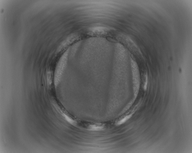 X0000087640232200705241247