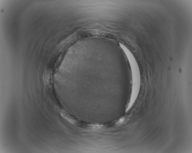 X0000087640233200705241247