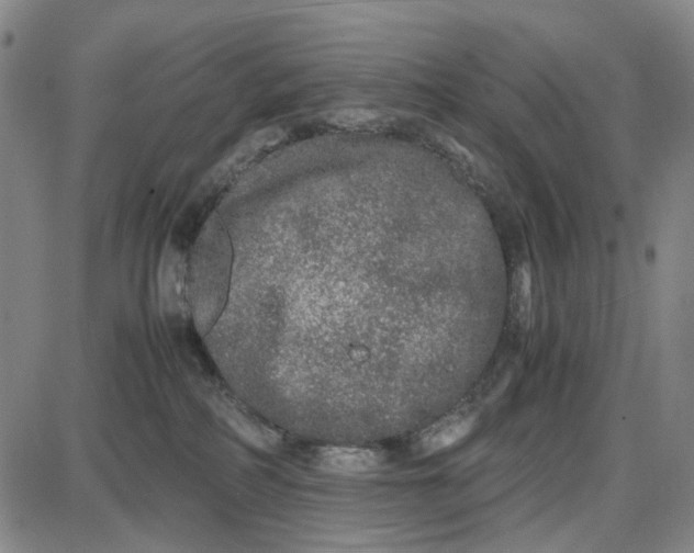 X0000087640234200705241247