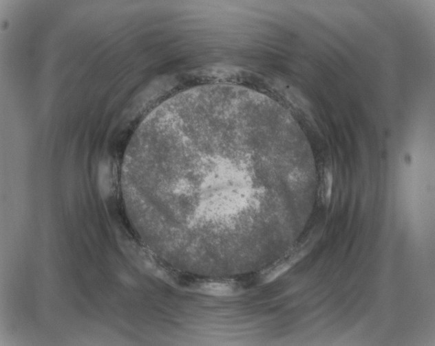 X0000087640236200705241247