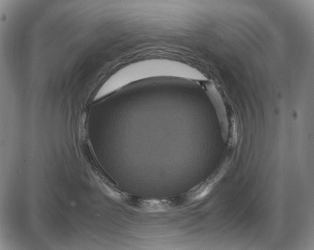 X0000087640239200705241247