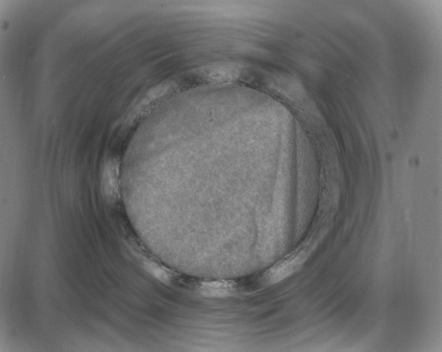 X0000087640240200705241247