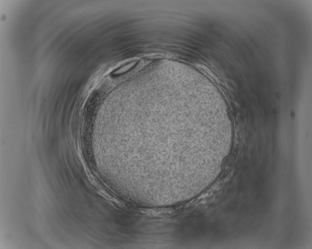 X0000087640241200705241247