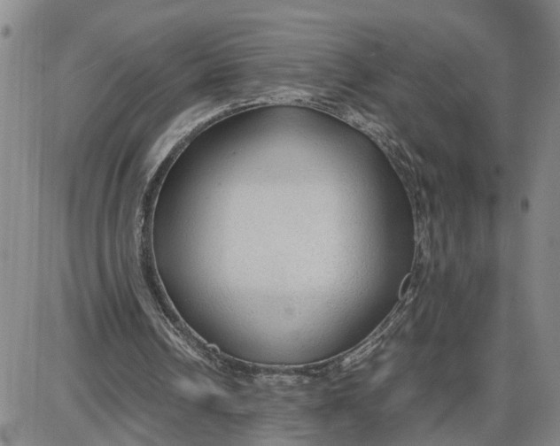 X0000087640242200705241247