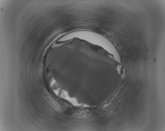 X0000087640243200705241247