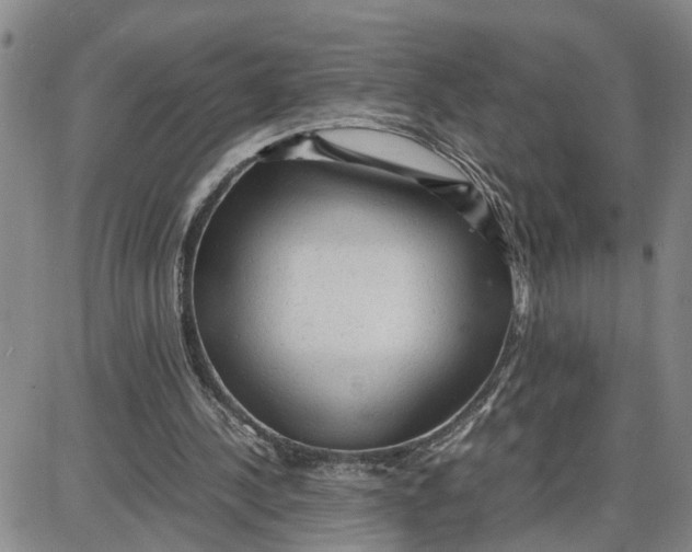 X0000087640244200705241247