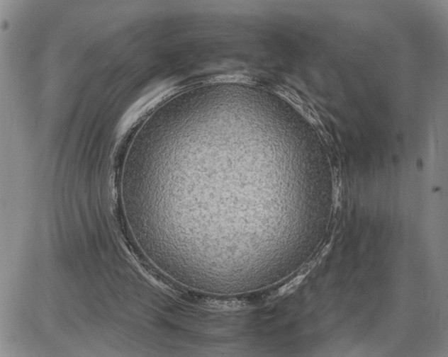 X0000087640245200705241247