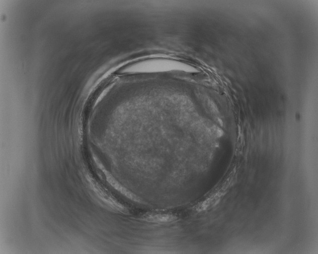 X0000087640247200705241247