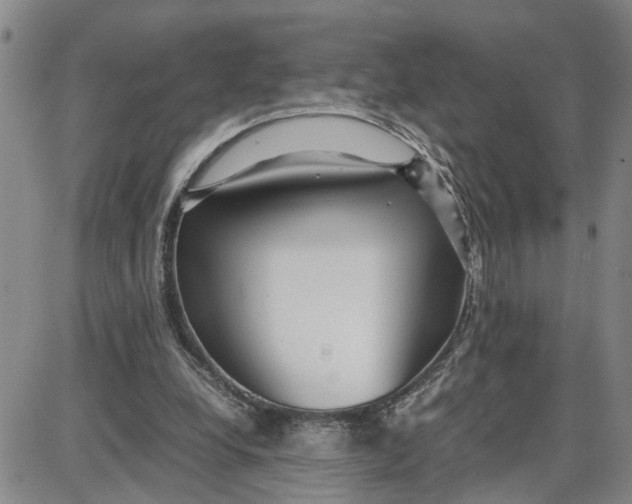 X0000087640248200705241247