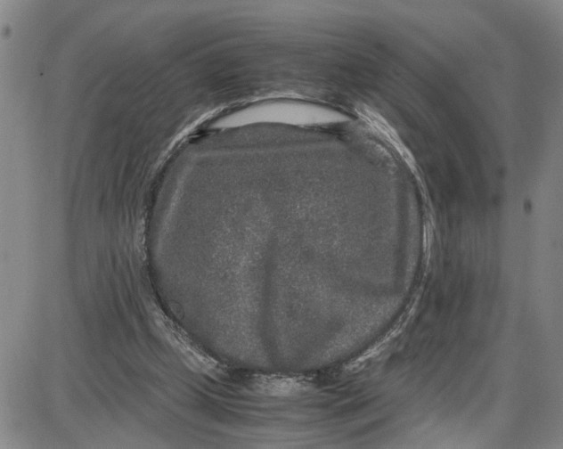 X0000087640249200705241247