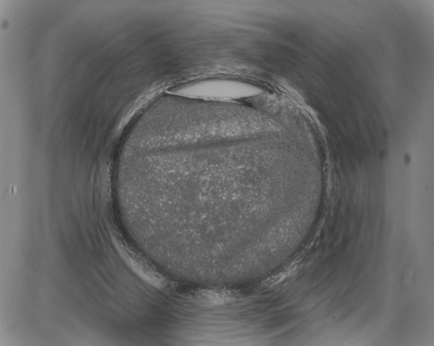 X0000087640250200705241247