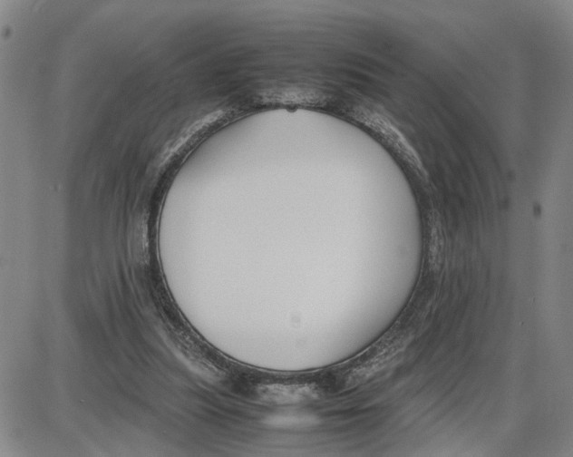 X0000087640251200705241247