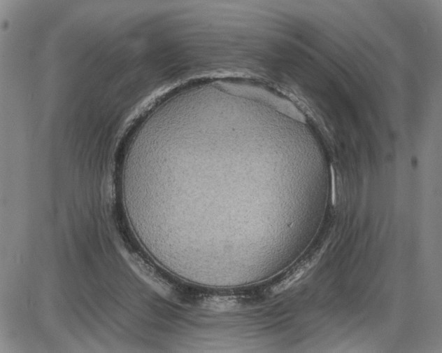 X0000087640252200705241247