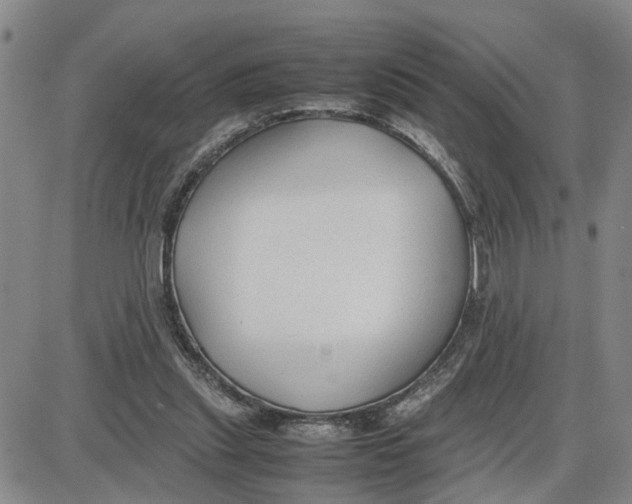 X0000087640253200705241247