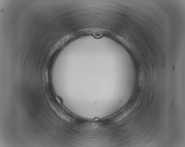 X0000087640254200705241247