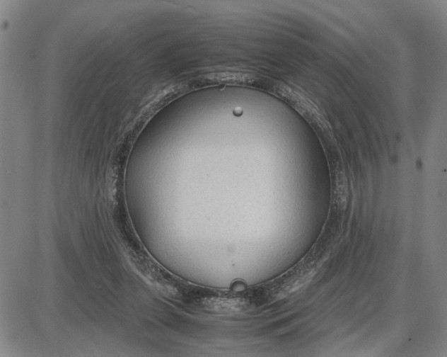 X0000087640255200705241247