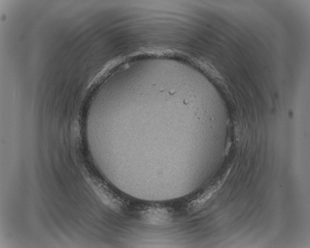 X0000087640256200705241247