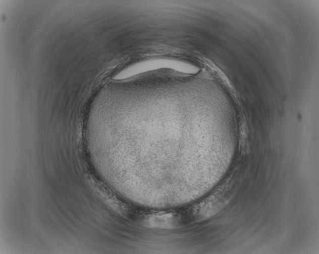 X0000087640257200705241247