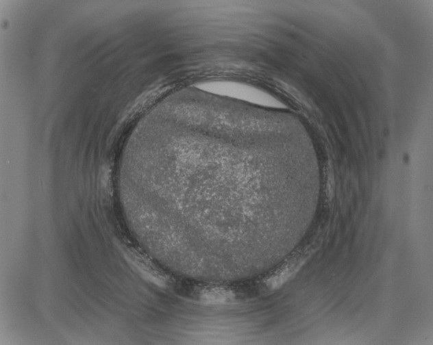 X0000087640258200705241247